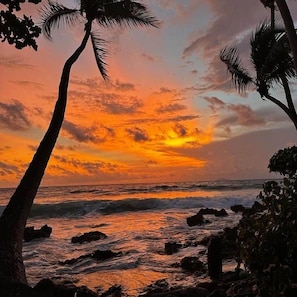 A sunset over a beach with palm trees and rocky shoreline. - * * CASA PALMA * *  Beachside Tropical Oasis (Ensenada)