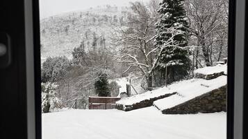 Schneebedeckte Landschaft mit einer hohen Nadelbaum und einer Steinmauer.