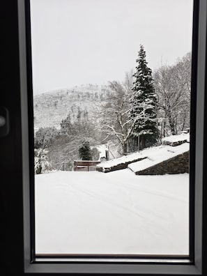 A snowy landscape with a large evergreen tree and a stone wall.