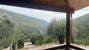 Blick von einer überdachten Terrasse mit Holzbalkendecke auf ein Tal mit Olivenbäumen und einem Gebirgszug.