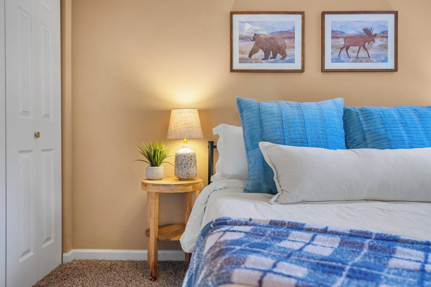 A bedroom with a bed, pillows, a nightstand with a lamp, a plant, and two framed pictures on the wall.