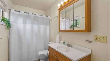 A bathroom with a shower curtain, toilet, sink, mirror, and a plant.