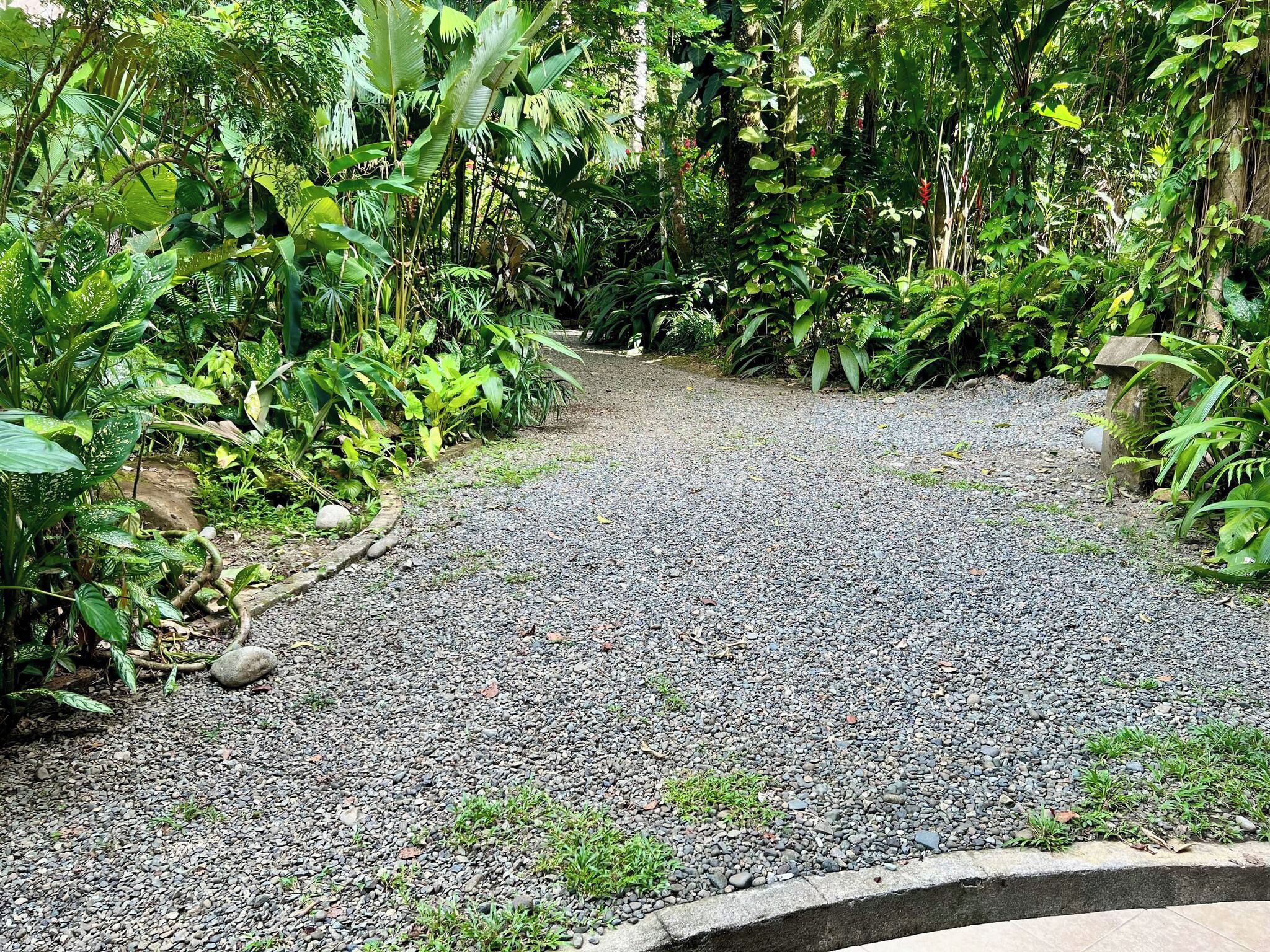 Un sentier de gravier bordé d’une végétation luxuriante et de plantes tropicales.