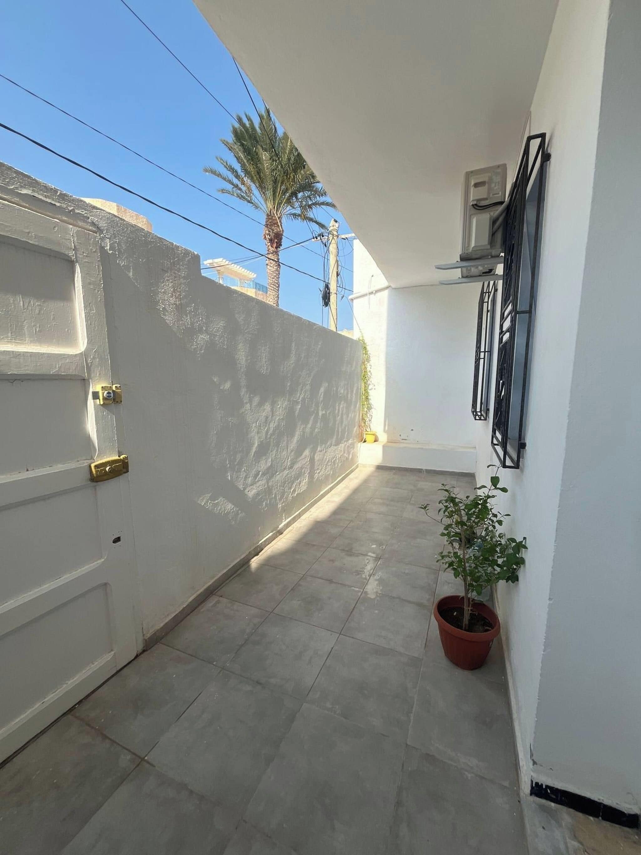 Un pasillo estrecho con una pared blanca, una planta en maceta y una puerta con cerradura.