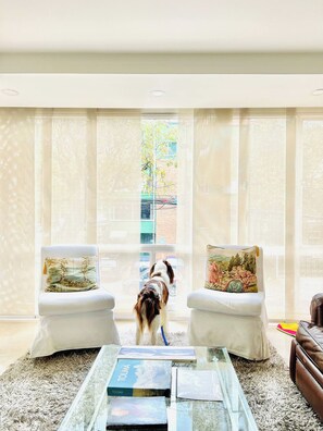 A living room with two white armchairs, a glass coffee table, and a dog. - Excelente ubicación y vista (Bogotá)