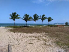 A beach with palm trees and a wooden walkway leading to the water. - Apartment on the 1st floor facing the sea on Guaibim beach. (Guaibim)
