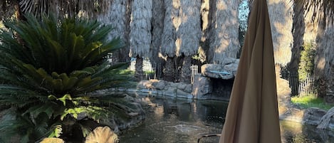 A patio area with a round table and chairs, an umbrella, and a view of a pond with rocks and plants.