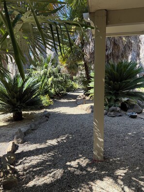 Ein Garten mit Palmen, einem Kiesweg und Steinen.