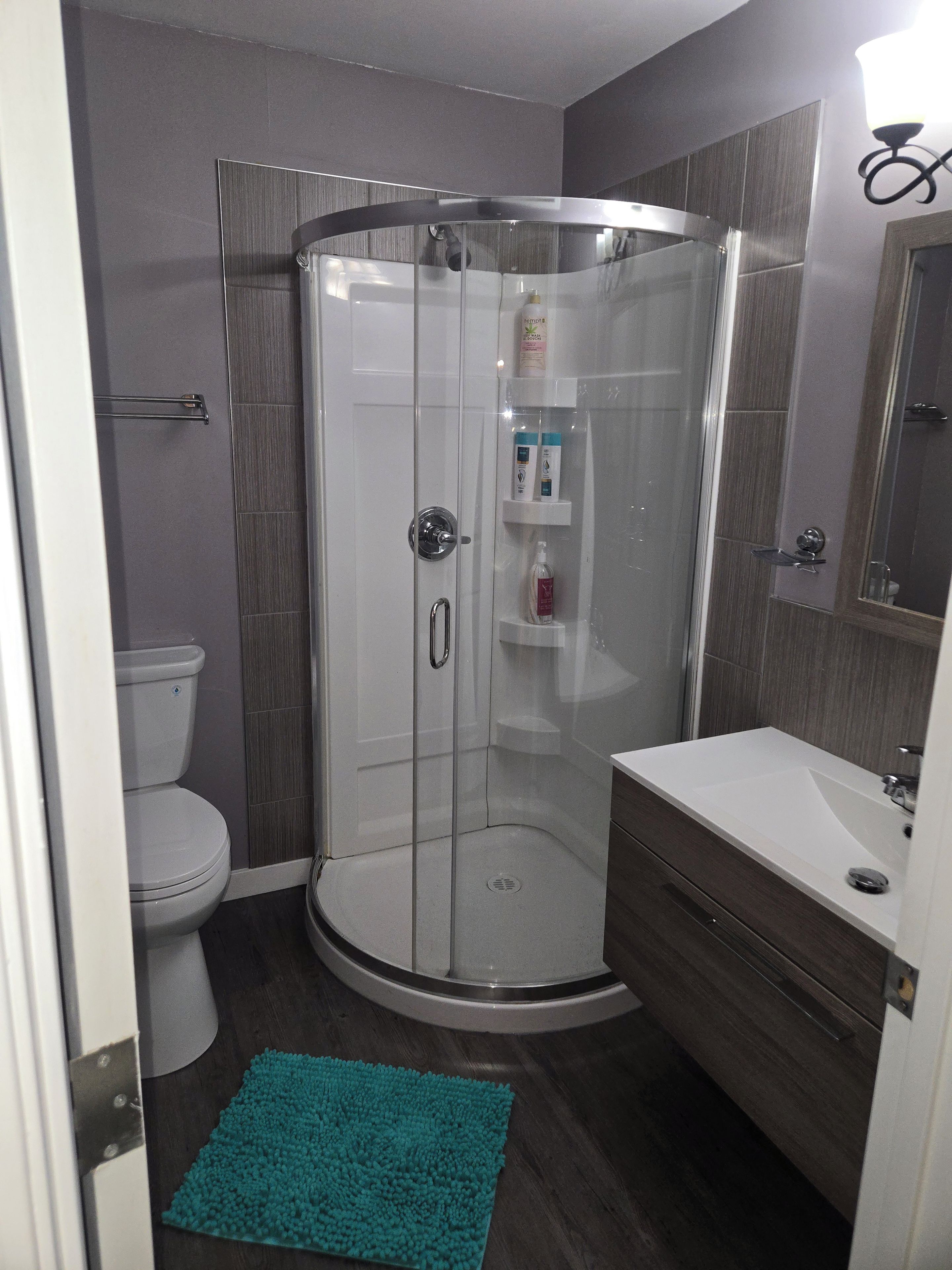 A modern bathroom with a glass-enclosed shower, a toilet, a sink, and a mirror.
