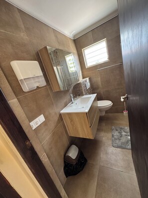 A bathroom with a sink, toilet, and mirror. - ZEMMA Apartments Unit 3 (Willemstad)