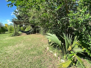A grassy area with a hammock, trees, and a small palm plant.