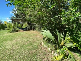 A grassy area with a hammock, trees, and a small palm plant.