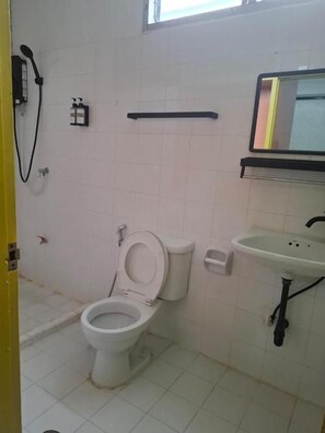 Un baño con inodoro, lavamanos y ducha.