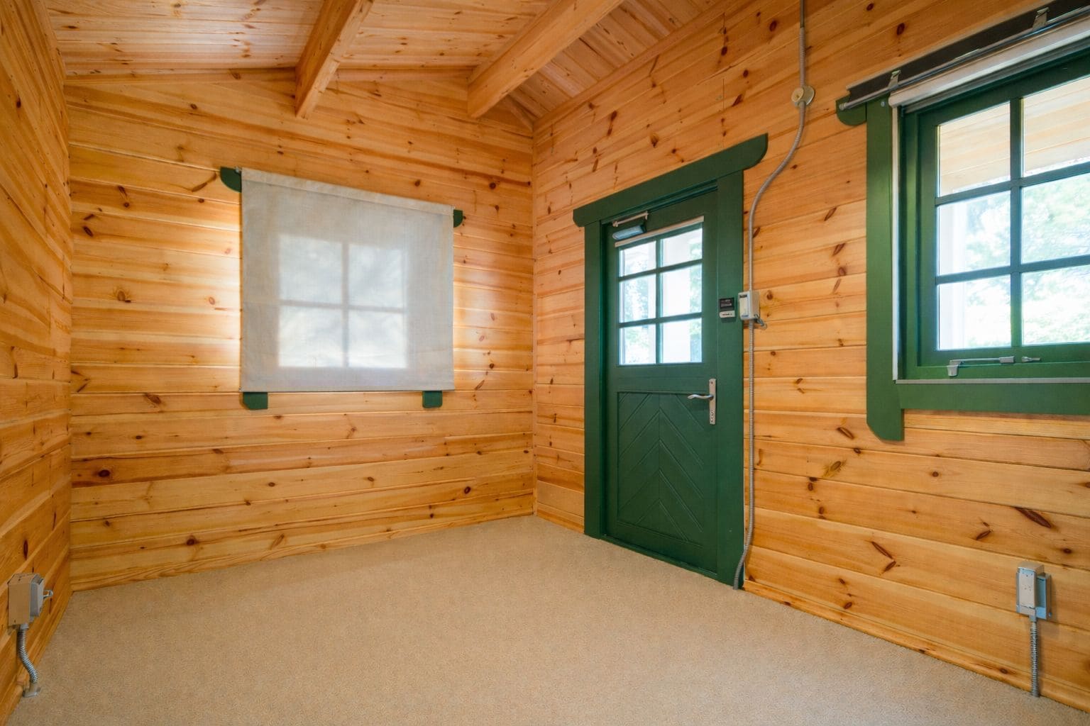 A room with wooden walls, a green door, a window with a white blind, and a carpeted floor.