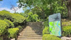 A stone staircase leading up to a park area with a map sign.
