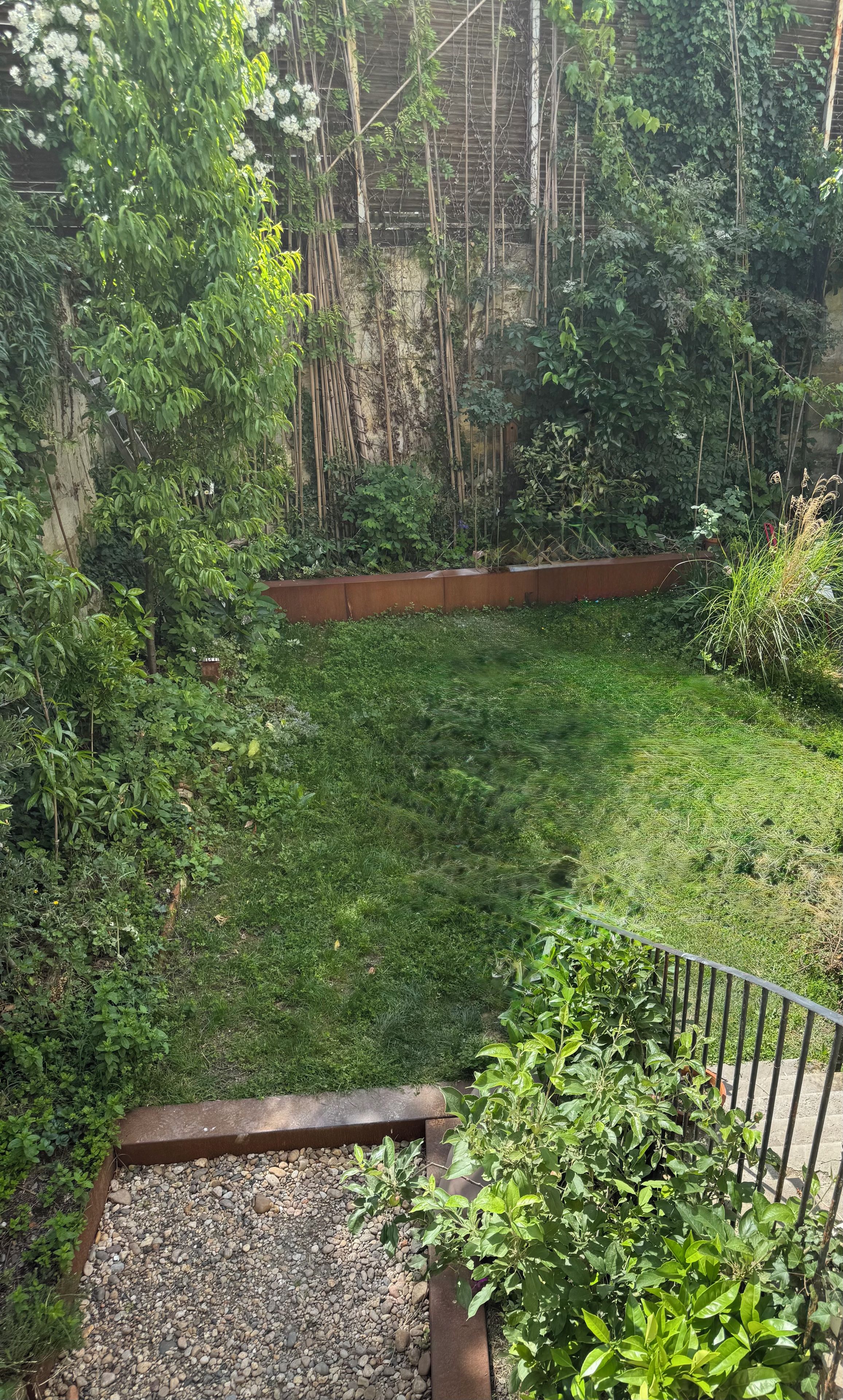 A garden with a variety of plants and a wooden fence.