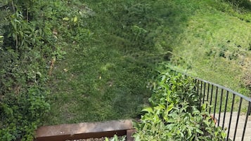 A garden with a variety of plants and a wooden fence.