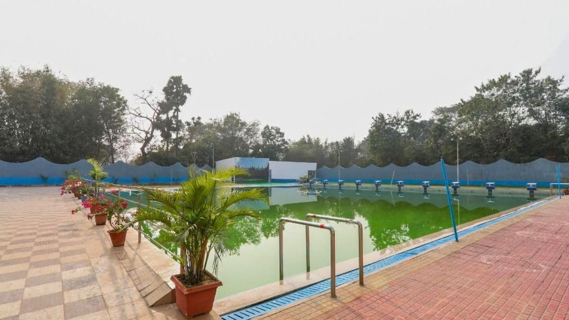 Hồ bơi