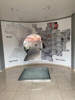 Mapa do Brasil com as regiões de São Paulo e São Carlos destacadas.