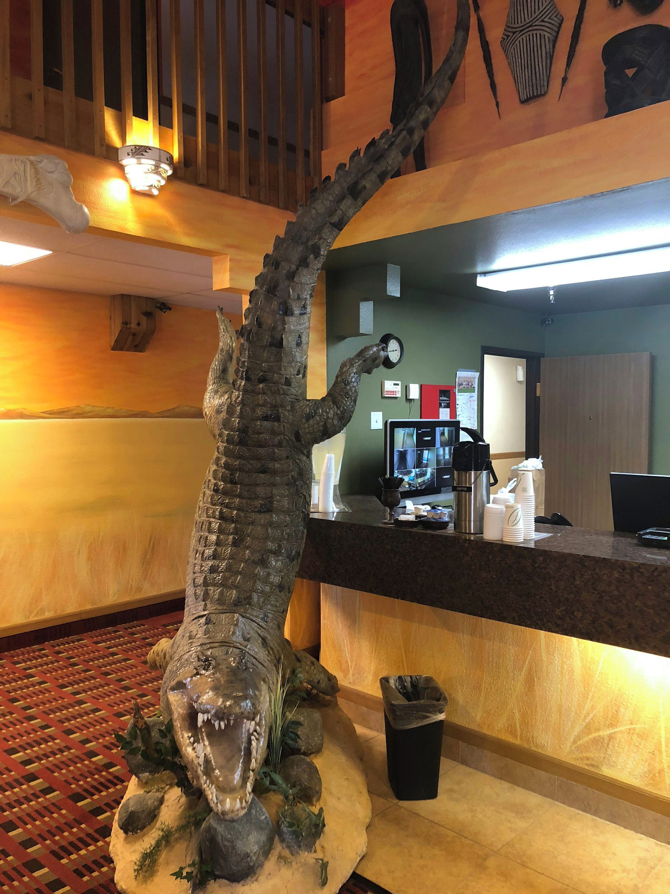 A reception desk with a crocodile sculpture, a clock, and a coffee machine.