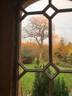 A view through a hexagonal window with a tree and greenery outside.