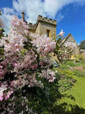 A stone building with a tower, surrounded by lush greenery and flowering plants.