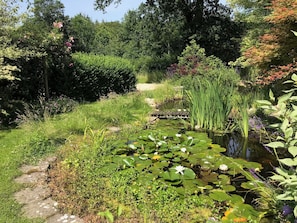 Un jardín con un estanque, diversas plantas y un sendero de piedra.
