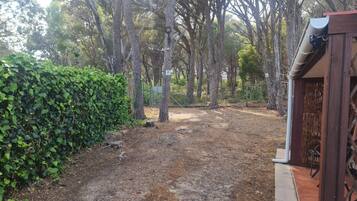 A dirt path leading through a wooded area with a wooden fence on one side and a metal gate on the other.