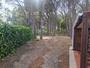 A dirt path leading through a wooded area with a wooden fence on one side and a metal gate on the other. - Mountain Side Golden gem (Cape Town)