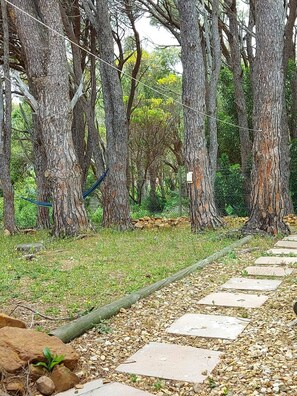 A pathway lined with large trees and a stone walkway. - Mountain Side Golden gem (Cape Town)