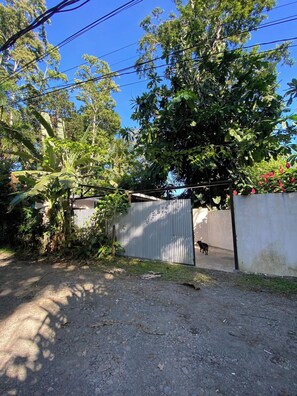 A gated area with a dirt path, a metal fence, and a dog walking through. - Private Jungle Box in Playa Cocles (Puerto Viejo de Talamanca)