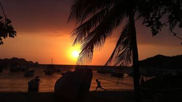 A sunset over a coastal area with boats and a palm tree silhouette.