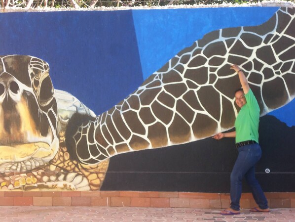 A mural of a giraffe and a person in a green shirt and blue jeans. - Private room - 4 people, pool & sea view (Santa Marta)