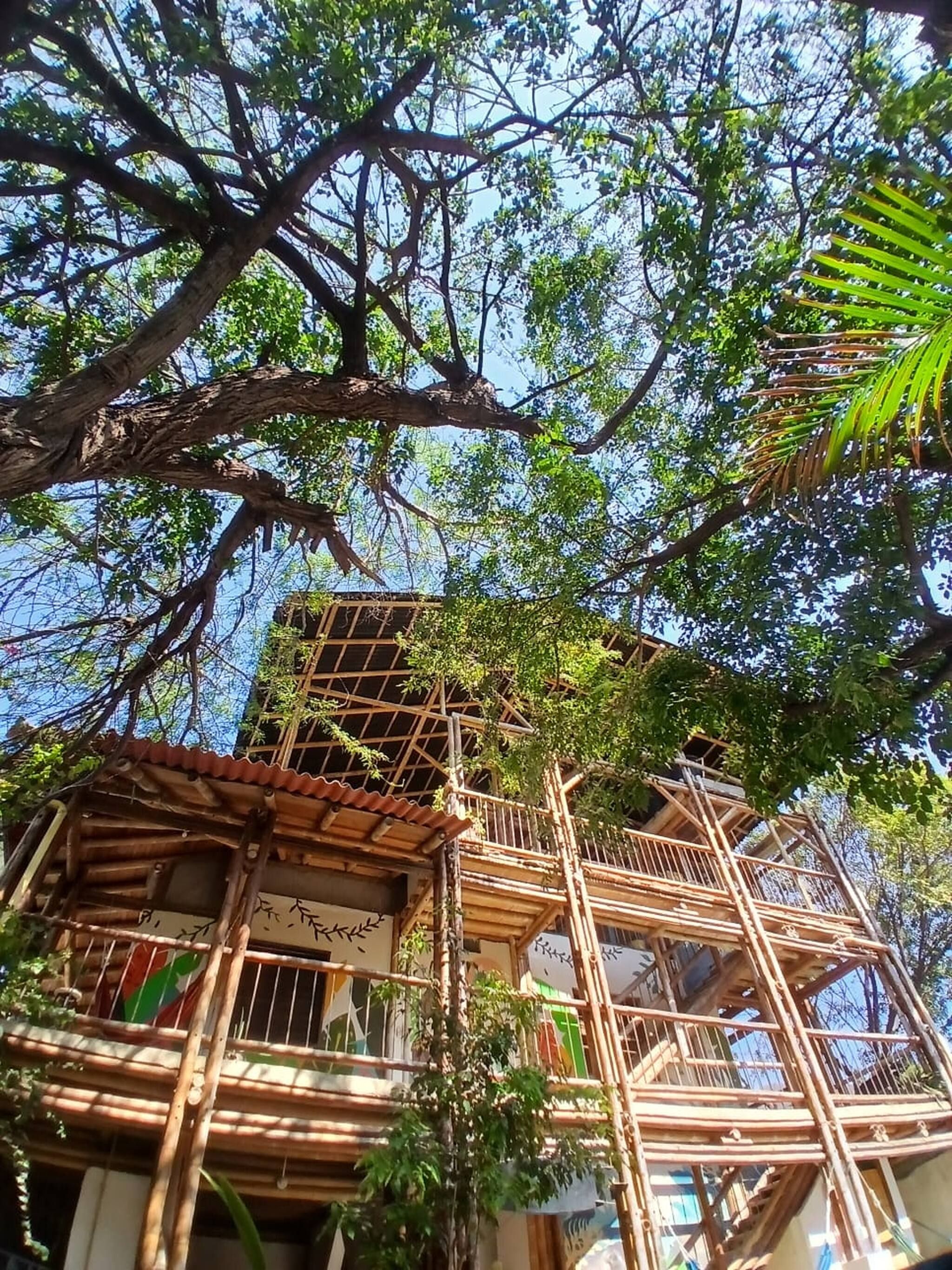 A bamboo structure with multiple levels, surrounded by trees and foliage.