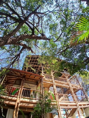A bamboo structure with multiple levels, surrounded by trees and foliage. - House with private pool and bbq (Taganga)