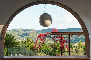 Ein Balkon mit Blick auf eine gebirgige Landschaft, einer hängenden Kugelleuchte und blühenden Pflanzen.