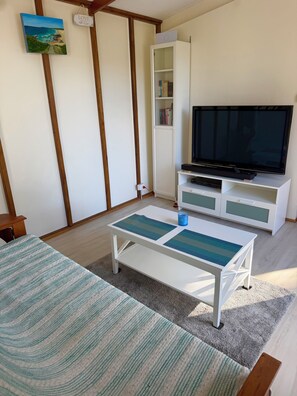 Una habitación con cama, televisión, estantería y un cuadro.