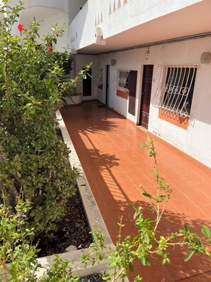 A courtyard with a tiled floor, a white building with a brown door, and a potted plant. - Edifício Corte Real, Albufeira (Albufeira)