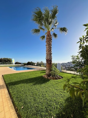 Ein gepflegter Rasen mit einer Palme, einem Swimmingpool und Blick auf eine Stadt im Hintergrund.