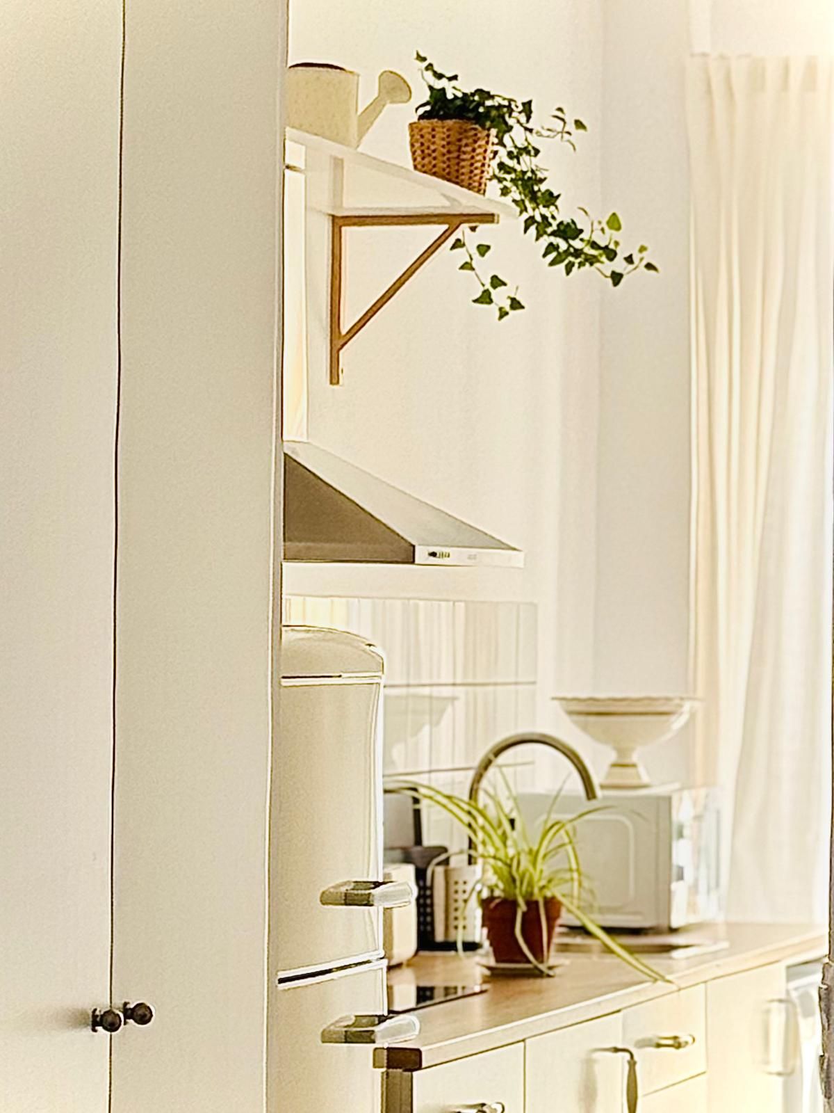 A kitchen with white cabinetry, a microwave, a sink, and a potted plant on the counter.