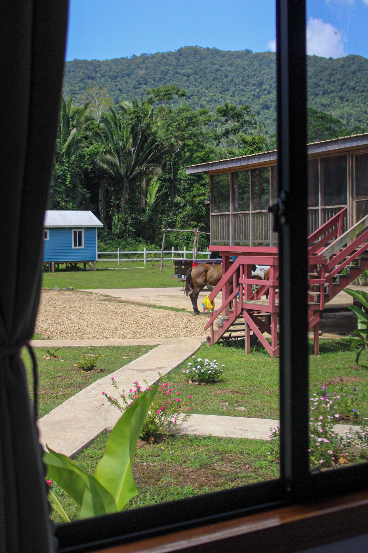 A horse in a fenced area with a wooden structure and a blue building in the background.