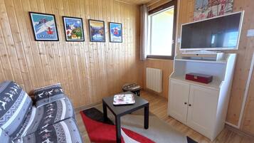 A wooden-paneled room with a sofa, a small table, a television, and a radiator.