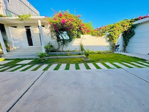 A residential property with a paved driveway, a grassy lawn with a striped pattern, and a variety of potted plants.