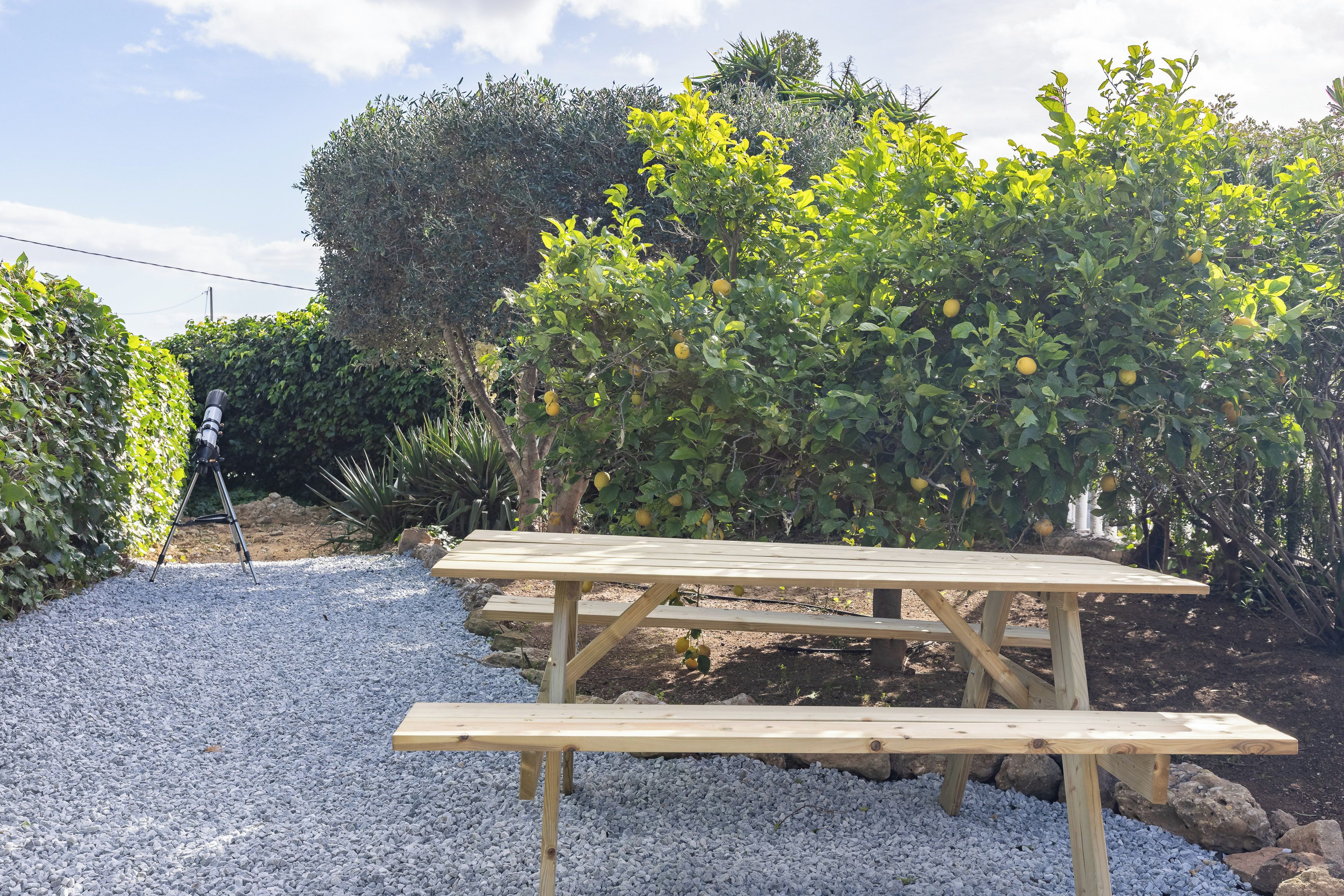 Une table de pique-nique en bois, posée sur du gravier, avec en arrière-plan un citronnier et un arbuste taillé avec soin.