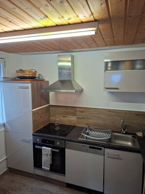 Una cocina moderna con estufa, horno y lavamanos integrados.
