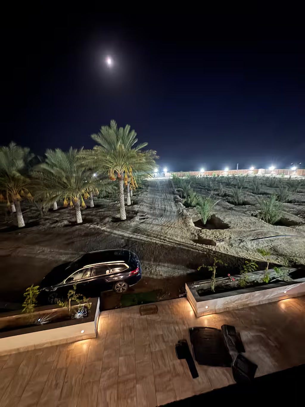A nighttime view of a landscaped area with palm trees and a car parked on a wooden deck.
