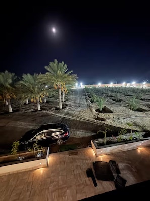 A nighttime view of a landscaped area with palm trees and a car parked on a wooden deck.