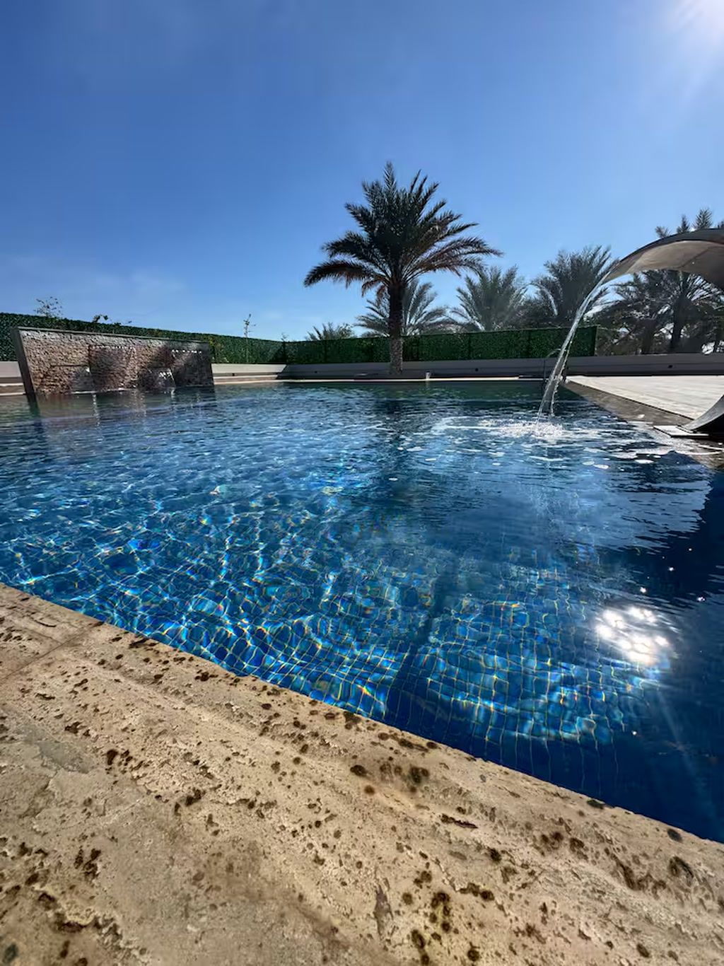 A clear blue swimming pool with a palm tree and a stone wall in the background.
