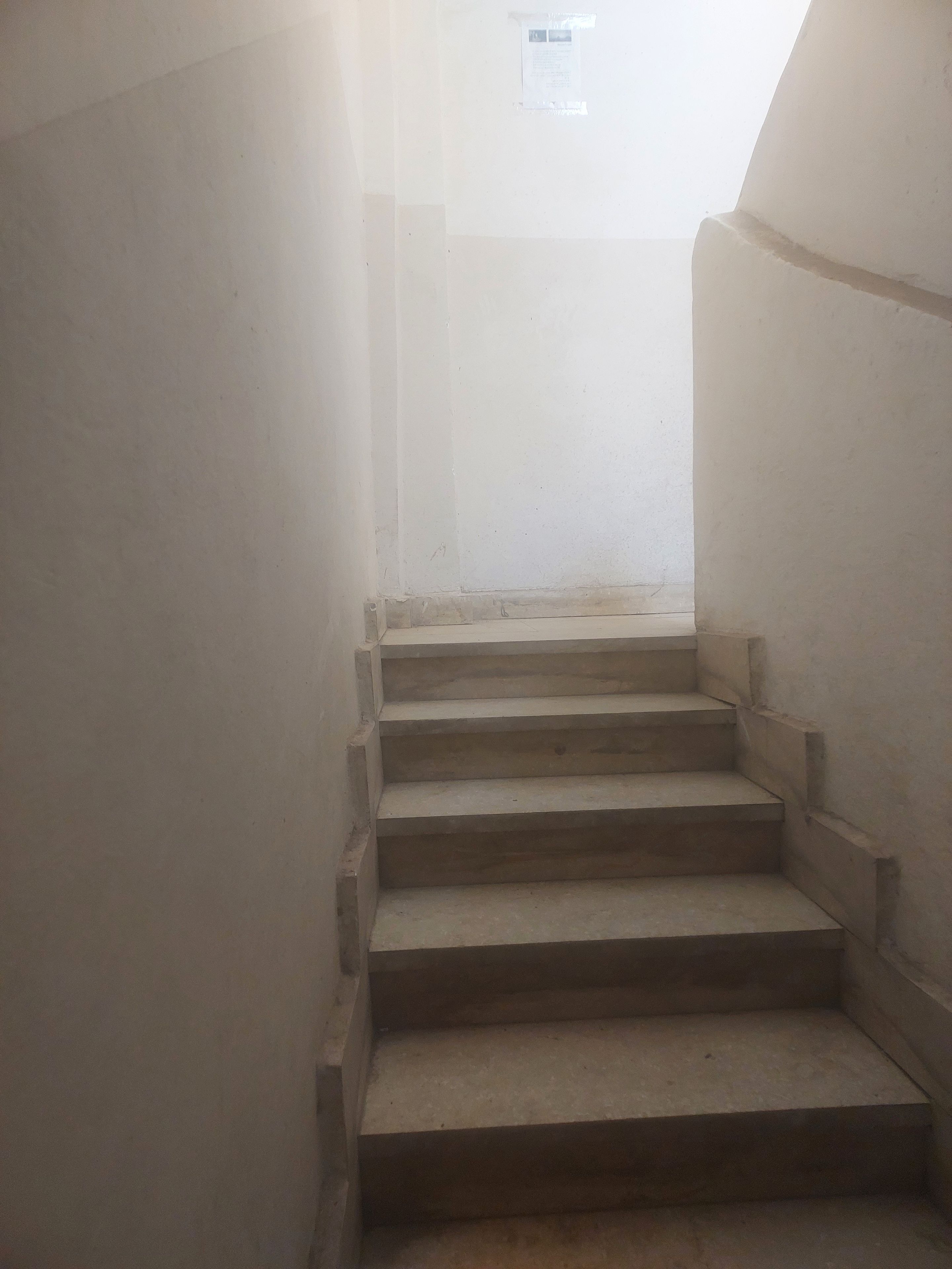 A set of concrete stairs leading upwards in a building.