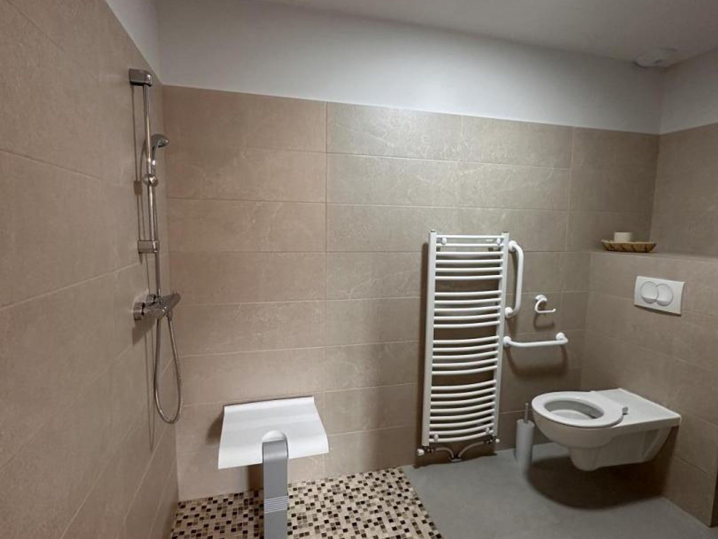 Et badeværelse med bruser, toilet og håndklædestang.